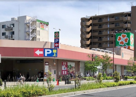 ӊ yX[p[zCtVXF849u