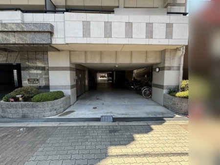 ���̑����n -