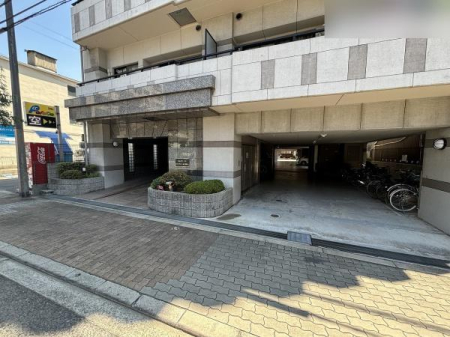 ���̑����n -