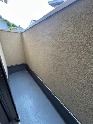 �o���R�j�[ ������ǍD�ȃo���R�j�[