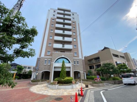 ���̑����n -