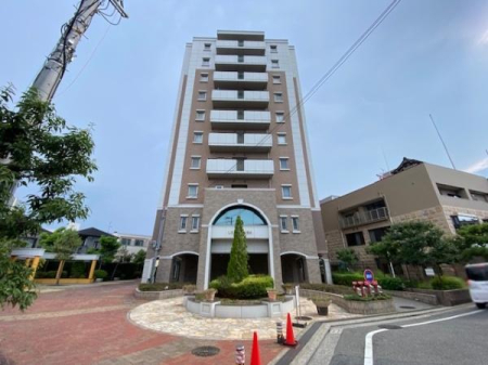 ���̑����n -