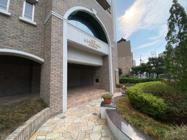 �G���g�����X ����������G���g�����X�ł���