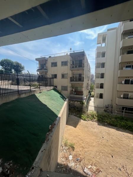 ���̑����n -