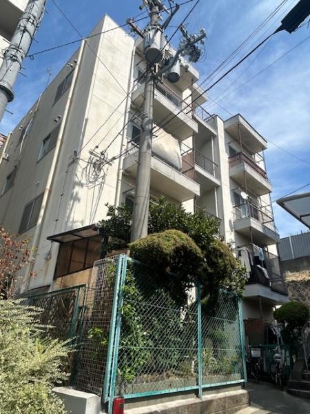 ���̑����n -