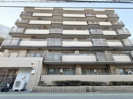 ���̑����n -