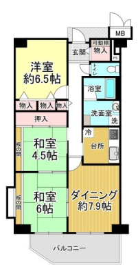 Ԏ} }ʂƌقȂꍇ͌Dƒv܂B
