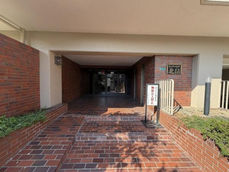 �G���g�����X -