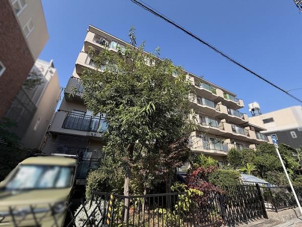 ���̑����n -