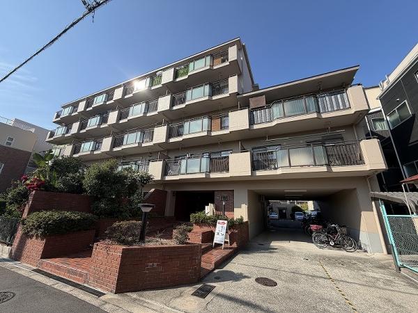 ���̑����n -