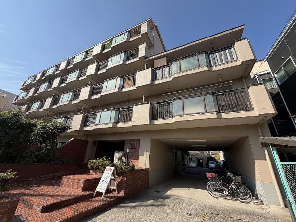 ���̑����n -