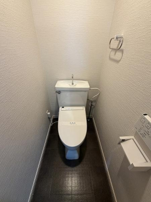 �g�C�� �������̂���g�C���ł��ꂢ�����ς�