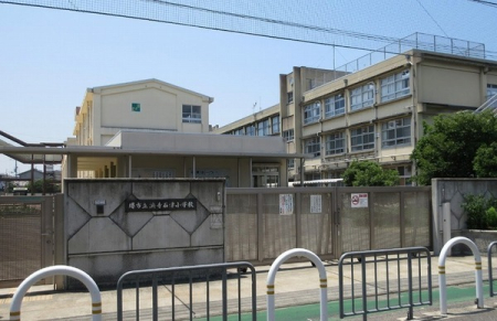 ӊ ywZzslΒÏwZF800u