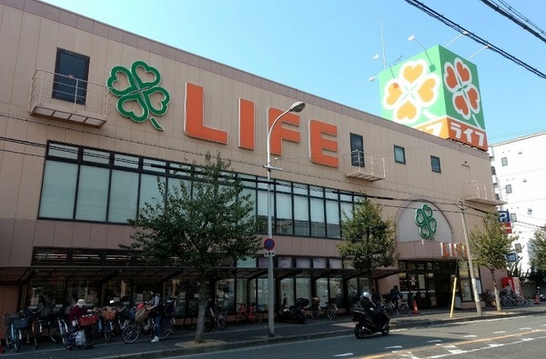 ӊ yX[p[zCtS㒹XF800u