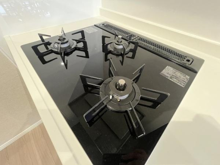 ���̑� �O���R����