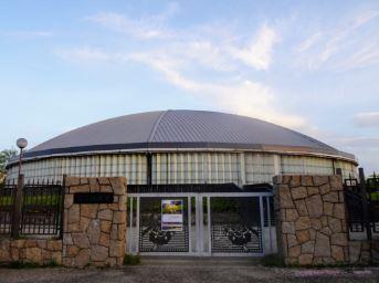 ӊ yW[EόzlX^WAF1135u