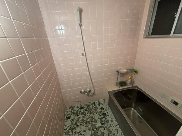 ���� ����̔��������o�X���[���I