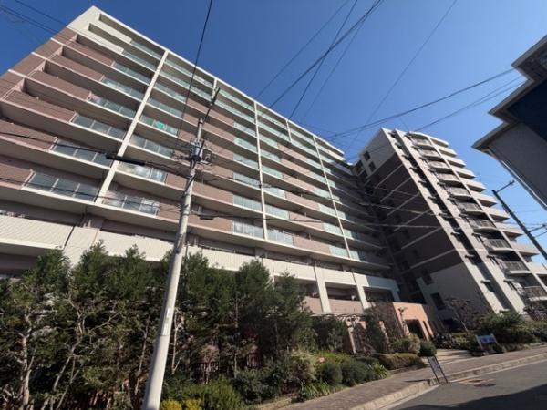 ���̑����n -