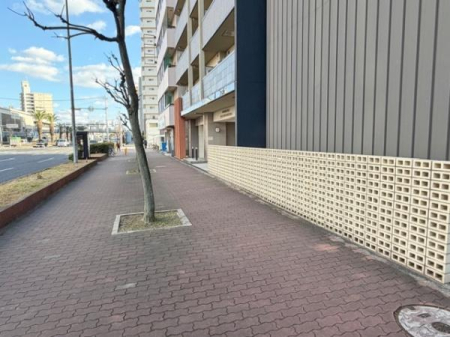 ���̑����n -