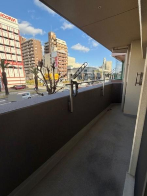 �o���R�j�[ ������ǍD�ȃo���R�j�[