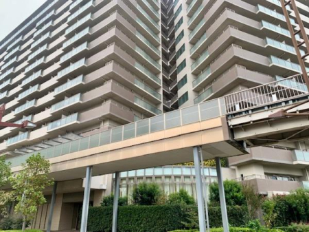 ���̑����n -