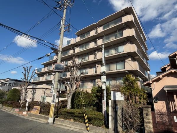 ���̑����n �l�������w�Z�܂œk����10��