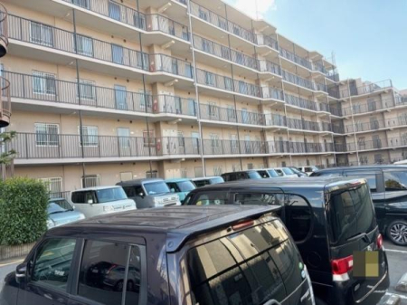  �~�n���ɒ��ԏ��