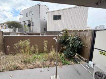 �o���R�j�[ �e���X�y�ѐ�p��