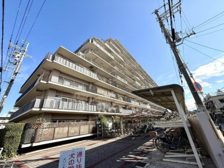 ���̑����n -