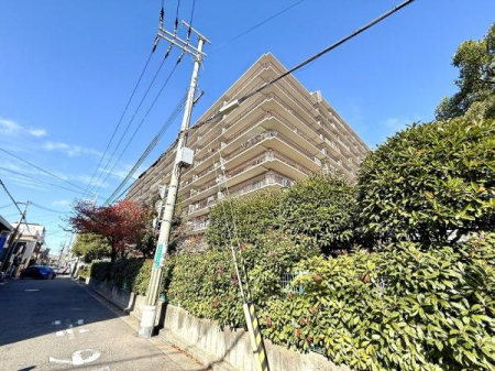 ���̑����n -