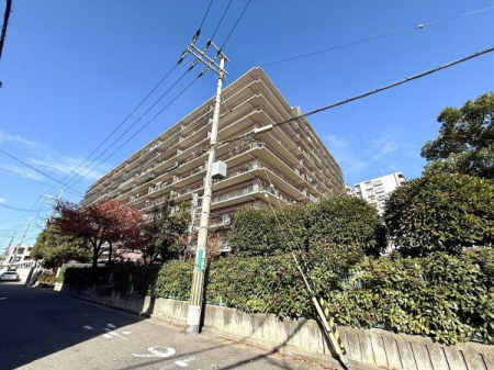 ���̑����n -