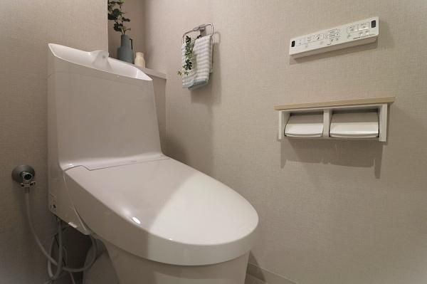 �g�C�� ���֗��ȉ������t�̃g�C���ł��ꂢ�����ς��