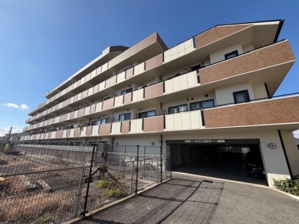 ���̑����n �o���R�j�[���̊O��