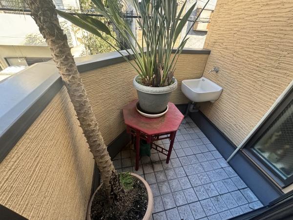 �o���R�j�[ ������ǍD�ȃo���R�j�[