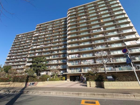 ���̑����n ��`�|�[�g�^�E�������щw�k���T��