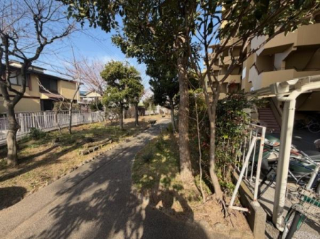 ���̑����p�� -