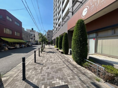 ���̑����n -