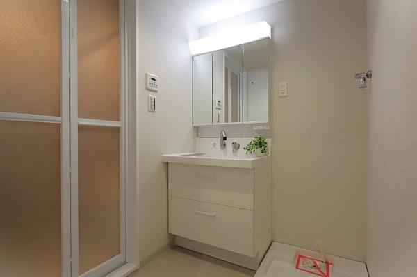 ���ʑ�E���ʏ� ���@�\�I�ł���Ȃ���V���v���ȃX�^�C���̐��ʉ��ϑ�� 