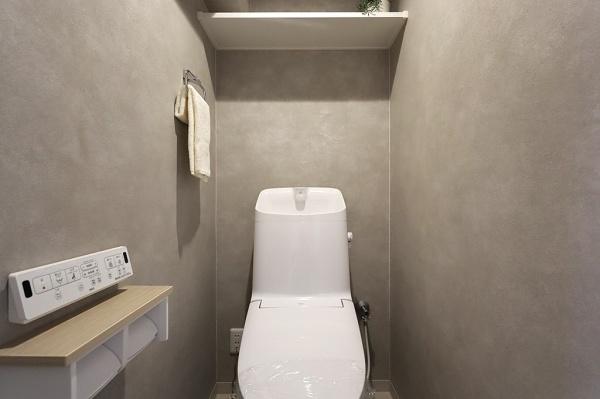 �g�C�� �������̂���g�C���ł��ꂢ�����ς�