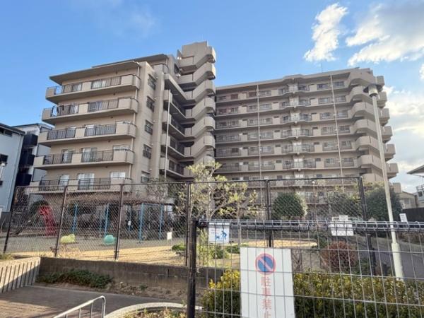 ���̑����n -