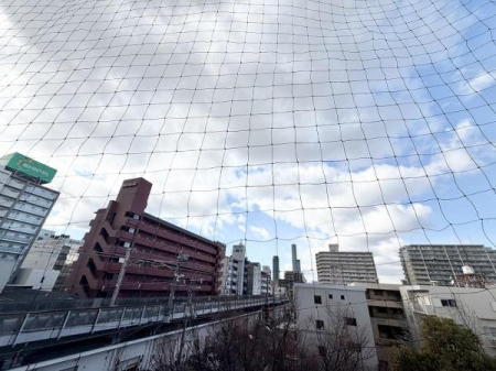 �Z�˂���̒��]�ʐ^ -