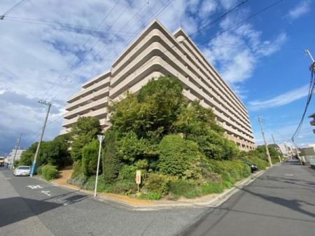 ���̑����n -