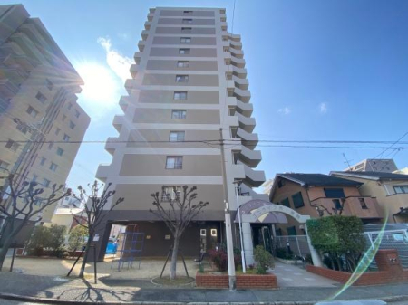 ���̑����n ��C�{���u��w�v�w�k��5����