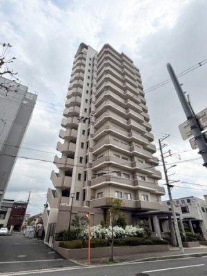 ���̑����n ����11�N8�����z