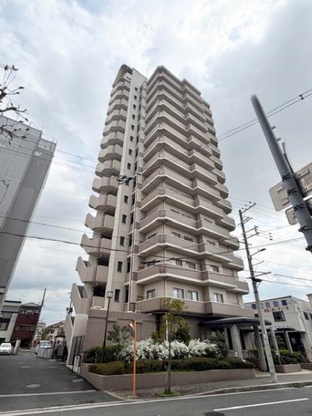 ���̑����n ����11�N8�����z