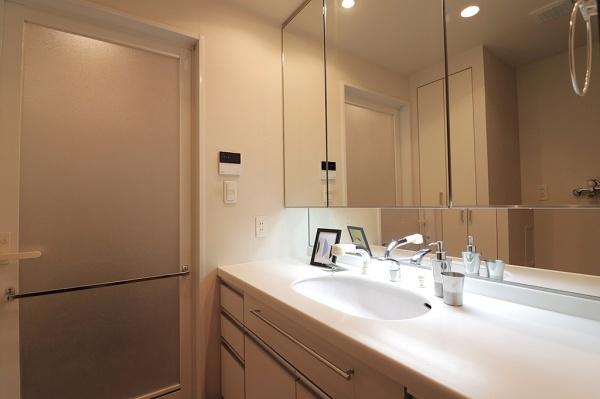 ���ʑ�E���ʏ� �@�\�I�ł���Ȃ���V���v���ȃX�^�C���̐��ʉ��ϑ�� 