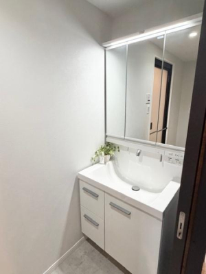 ���ʑ�E���ʏ� �������̂���V�����v�[�h���b�T�[�ŁA���̐g�����Ȃ݂���������Ɓ@