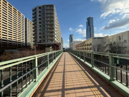 ���̑����n -