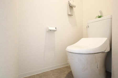 �g�C�� �������̂���g�C���ł��ꂢ�����ς�