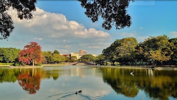 ���ӊ� �y�����z�Z�V�]�����F1046�u